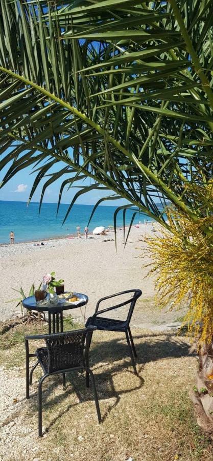 Leon Beach Hotel New Athos Exterior foto
